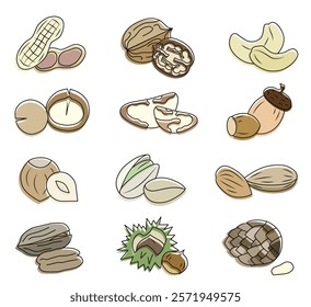 Different nuts. Healthy eating concept. Collection of different nuts flat illustration. EPS 10.
