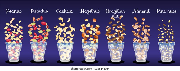 Different nuts mix nuts fall into glass . Healthy organic snack, food. Set of nuts: nutmeg,macadamia,cashew,pistachio,almond,hazelnut,pecan,peanut,coconut,walnut,brazilian,cedar,pine nut. Cartoon flat