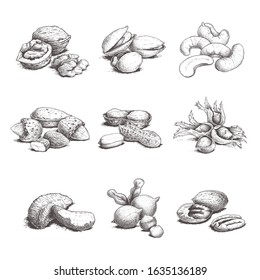 Different nuts set. Sketch style hand drawn nuts with nutshells. Walnut, pistachio, cashew, almond, peanut, hazelnut, brazilian nut, macadamia and pecan. Vector illustrations. Organic food.