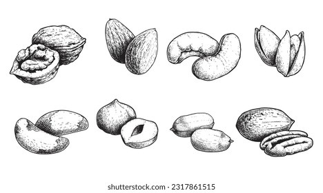 Diferentes conjuntos de nueces. Estilo de esbozo tuercas dibujadas a mano con cáscaras nucleares. Nuez de nogal, pistacho, anacardo, almendras, maní, avellanas, nuez de Brasil y pecan. Ilustraciones vectoriales. Comida orgánica.