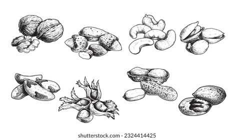 Diferentes conjuntos de nueces. Estilo de esbozo tuercas dibujadas a mano con cáscaras nucleares. Nuez de nogal, pistacho, anacardo, almendras, maní, avellanas, nuez de Brasil y pecan. Ilustraciones vectoriales. Comida orgánica.