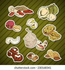 Different nuts, Set of stickers, hand drawn illustrations