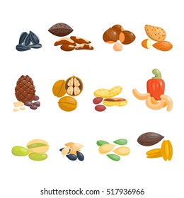 Different nuts vector set.