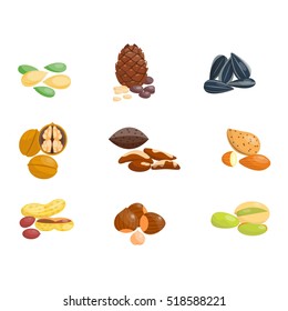 Different nuts vector set.