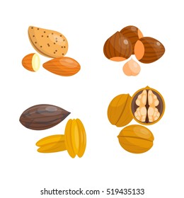 Different nuts vector set.