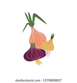 Different Onion Varieties Fresh Vegetable, Organic Nutritious Vegetarian Food for Healthy Diet Vector Illustration