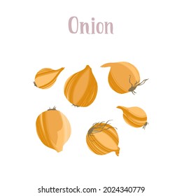 Different onions not shelled. Healthy nutrition product. Vector hand drawn flat isolated illustration with hand written lettering for your design on white background.