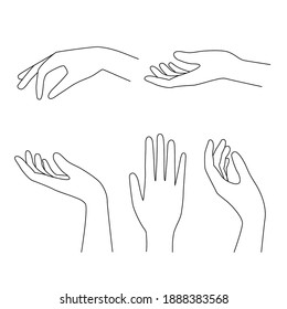 Different outline hands elegant gestures. Black and white vector illustration.