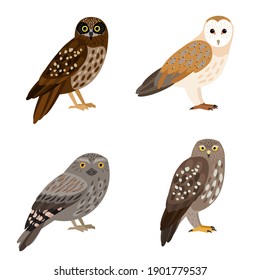 Different owl set. Cartoon beautiful forest flying character of ornithology, night birds with brown feathers, vector illustration of owles isolated on white background