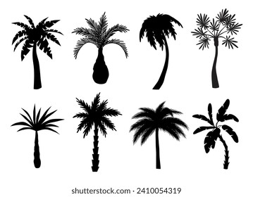 Different palm trees black silhouettes. Beach exotic plants, summer tropical flora, miami and hawaii southern trees, vector illustration.eps

