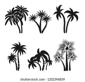 Different palm trees set silhouettes isolated on white background. Black tropical plants icons vector illustration. Rainforest jungle plants. Summer beach resort decoration