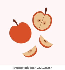 Different parts of apples vector set icon.Whole apple, slices and apple seeds design elements isolated on white background.