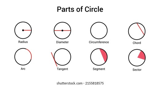 the different parts of a circle. Radius, diameter, circumference, chord, arc, tangent, segment and sector. Vector illustration isolated on white background.