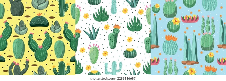 Different patterns with many cacti and succulents on color backg
