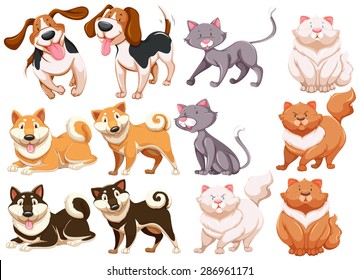 Different pecies of dogs and cats