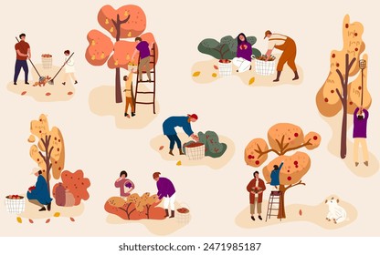 Different people pick fruit and berries and harvest leaves. Men and women work on the farm, in the gardens. Agricultural workers harvest crops in autumn. 