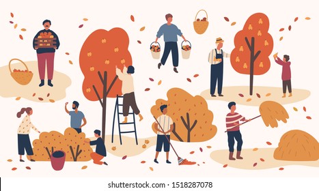 Different people picking fruits and berries, remove hay and leaves. Men and women work on a farm, in the orchards. Agricultural workers harvest in autumn. Vector illustration in flat cartoon style.