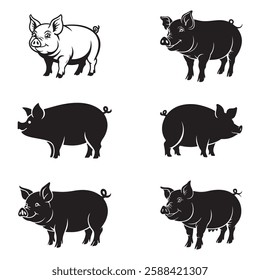 Different Pig Breeds – Farm Livestock Vector Collection