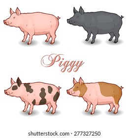 different pigs vector illustration