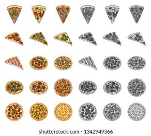 Different pizza cartoon,mono icons in set collection for design.Pizza food vector symbol stock web illustration.