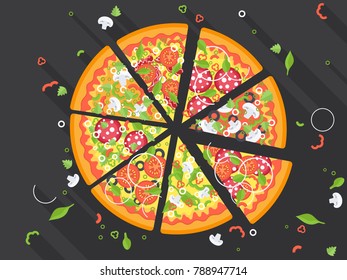 Different pizza slices. Vector illustration