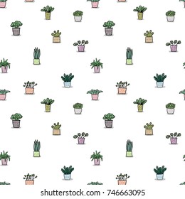 different plants in colored pots on a white background