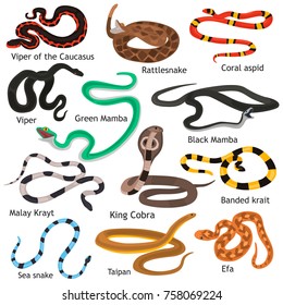 cool colored snakes