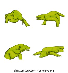 different pose of komodo dragons