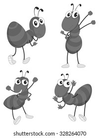 Different poses of ants illustration