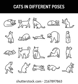 Different poses of cats line icons set. Isolated vector element. Outline pictograms for web page, mobile app, promo. Editable stroke.