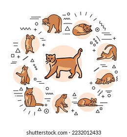 Different poses cats web banner. Infographics with linear icons on white background. Creative idea concept.