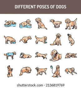 Different poses of dogs line icons set. Isolated vector element.