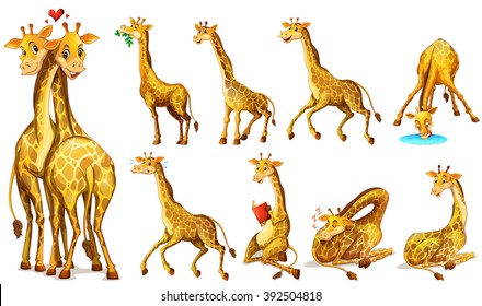 Different positions of giraffes illustration