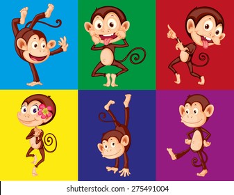 Different positions of monkeys in color frame