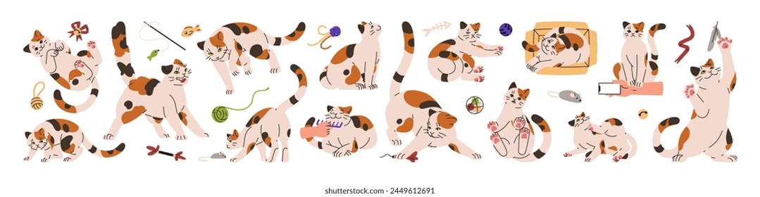 Different postures of cat body language set. Cute kitten plays, lying, relaxes, seeking attention, angry. Happy kitty expression emotions. Pet communication. Flat isolated vector illustration on white