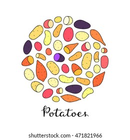 Different potato varieties composed in circle shape with lettering on white background. Hand drawn illustration.