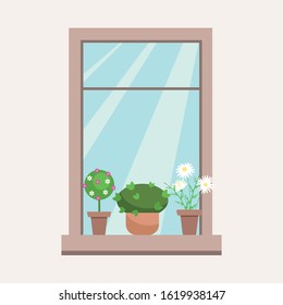 Different pots of  flowers on window sill