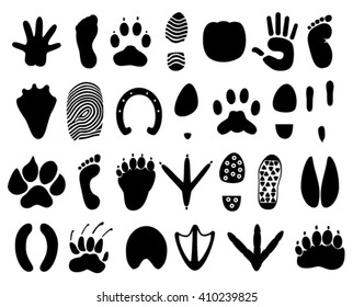 Different Prints Vector Stock Vector (Royalty Free) 410239825 ...