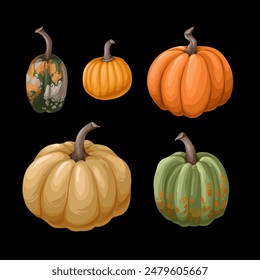 Different pumpkins isolated on the black background. Vector