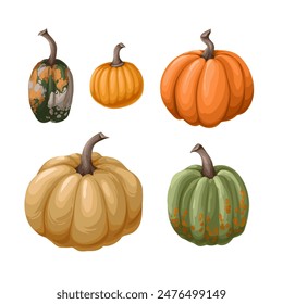 Diferentes calabazas aisladas sobre el fondo blanco. Vector