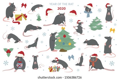 Different rats christmas collection. Rat poses and exercises. Cute cartoon new year clipart set. Vector illustration