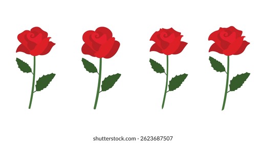 Different red roses beautifil set