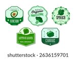 Different retro vegetables banner and labels. Packaging tags with avocado, lettuce, cabbage,spinach. Set of seasonal vegetables labels stickers and marks or badges template for packaging