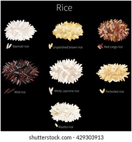 Different rice varieties on a black background. Vector illustration.