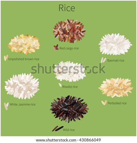 Different rice varieties on a green background. Vector illustration.