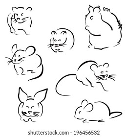 Different rodents