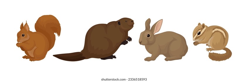 Different Rodents with Robust Bodies and Short Limbs Vector Set