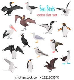 Different sea birds color flat icons set