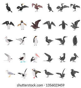 Different sea birds color flat, simple concept icons set