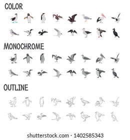 Different sea birds color flat, black and white colors, line, simple concept icons set